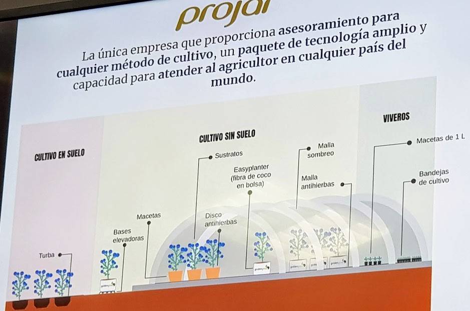 projar-sin-suelo|Stand Projar 1 (1)|Fresas hidroponía|Projar-GROW-BAG.-charlajpg|Projar 2